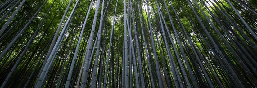 Unauth title ghbuCIBH